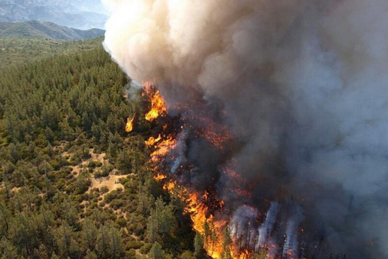 Salt Lake City Braces for Potential Wildfires Amid Fire Weather Watch