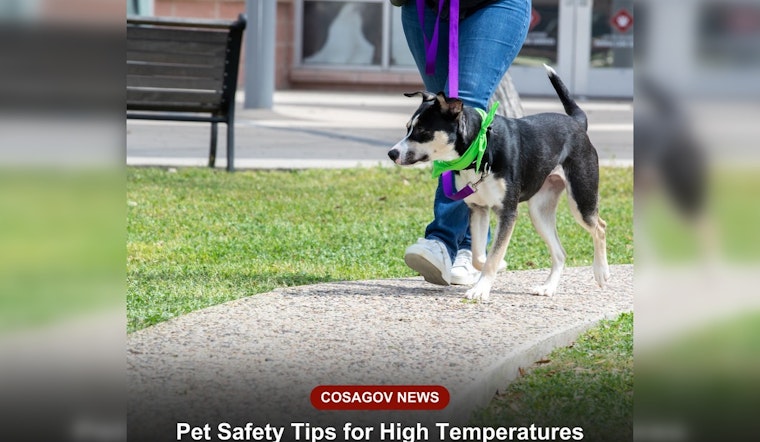 San Antonio Animal Care Services Issues Heat Safety Advisory for Pet Owners Amid Soaring Temperatures