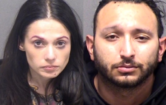 San Antonio Couple Pleads Guilty to Fatal Dog Attack on Air Force Veteran, Facing Up to 20 Years