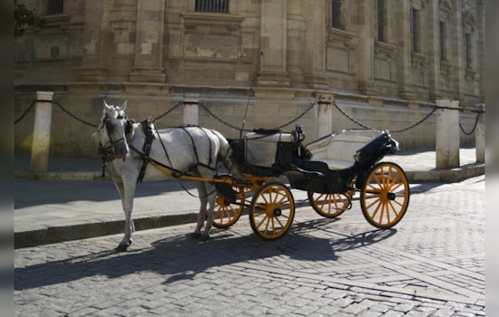 San Antonio Residents Weigh in on Horse-Drawn Carriage Ban with Record Survey Participation