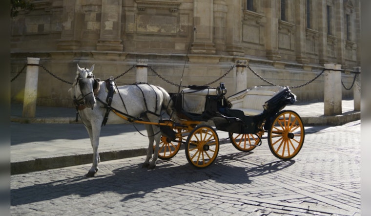 San Antonio Residents Weigh in on Horse-Drawn Carriage Ban with Record Survey Participation