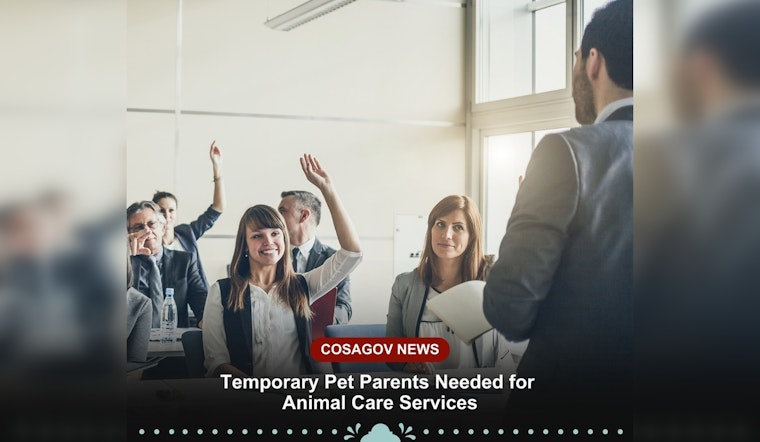 San Antonio Seeks Compassionate Temporary Pet Parents, Free Training and Supplies Offered