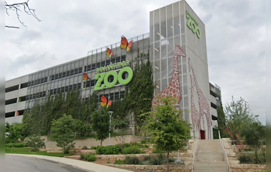 San Antonio Zoo Invites Bexar County Residents for $8 Entry on Locals Day and National Bird Day