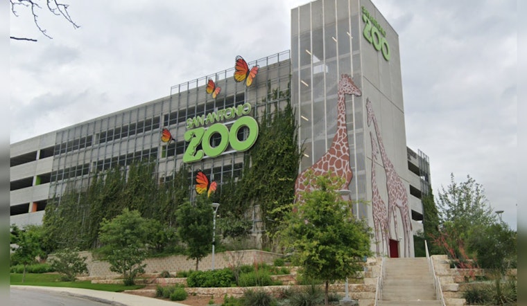 San Antonio Zoo Invites Bexar County Residents for $8 Entry on Locals Day and National Bird Day
