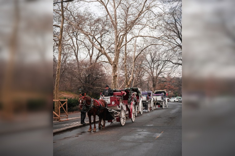 San Antonio's Horse-Drawn Carriage Debate Spurs Citywide Survey for Public Opinion on Tradition's Future