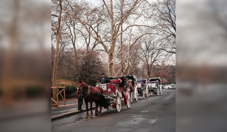 San Antonio's Horse-Drawn Carriage Debate Spurs Citywide Survey for Public Opinion on Tradition's Future