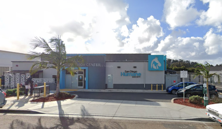San Diego Humane Society Battles Pneumonia Outbreak, Calls for Community Aid in Adopting and Fostering Dogs