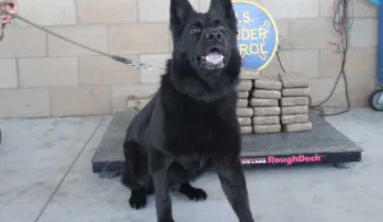 San Diego Sector Border Patrol Seizes Over 80 Pounds of Cocaine Near Temecula, Two Arrested