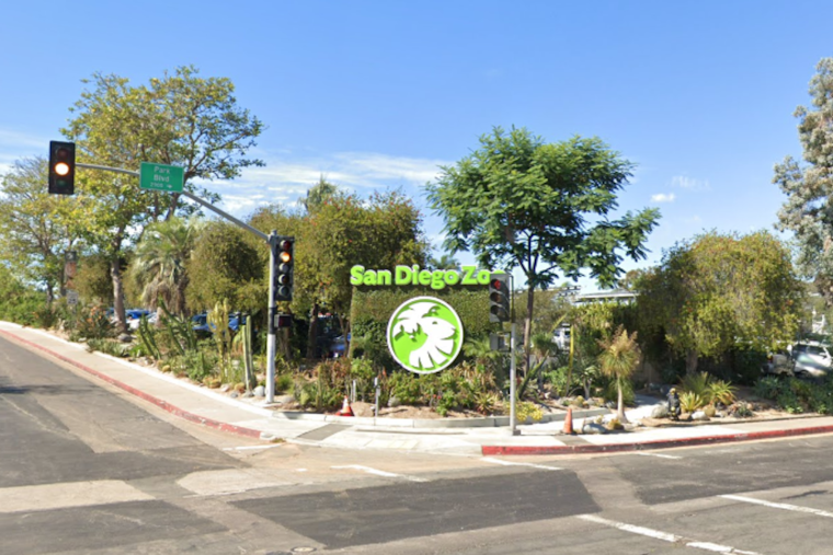 San Diego Zoo's "Food, Wine & Brew" Event Marries Culinary Delights with Wildlife Conservation Efforts on September 21st        