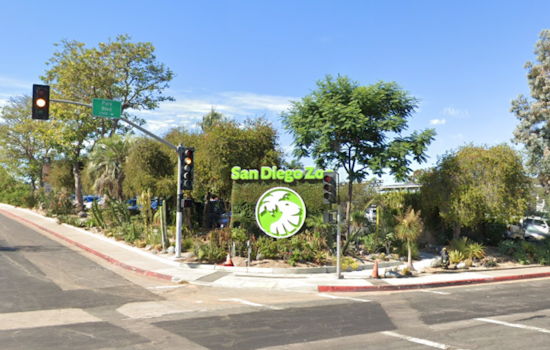 San Diego Zoo's "Food, Wine & Brew" Event Marries Culinary Delights with Wildlife Conservation Efforts on September 21st