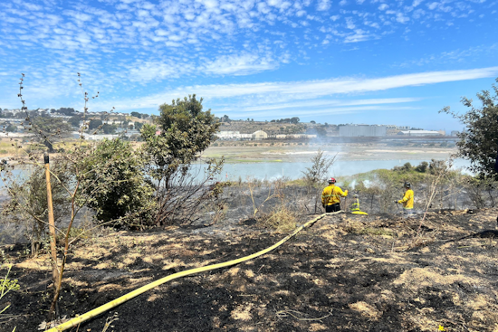 San Francisco Firefighters Tackle Two Wildfires, No Injuries or Structural Damage Reported