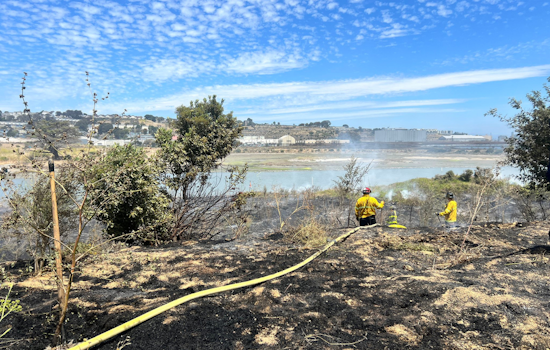 San Francisco Firefighters Tackle Two Wildfires, No Injuries or Structural Damage Reported