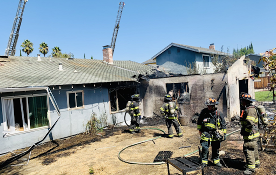 San Jose Fire Department Quells Vegetation Fire, Saves Residents and Pets in South San José
