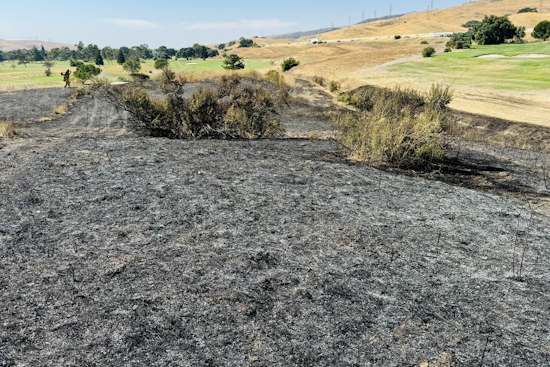 San José Firefighters Quickly Subdue Blaze at Coyote Creek Golf Club, Investigation Underway