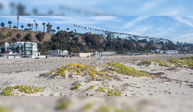 Santa Monica Bolsters Coastal Defense with Pioneering Beach Dune Restoration Project