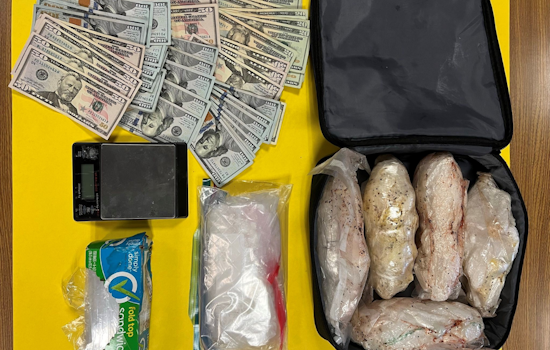 Santa Rosa Police Arrest Two in Drug Bust Involving Nursery Turned Narcotics Storehouse