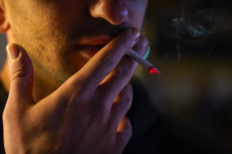 Sarasota State Senator Leads Initiative for Public Smoking Ban Amid Florida's Marijuana Legalization Debate