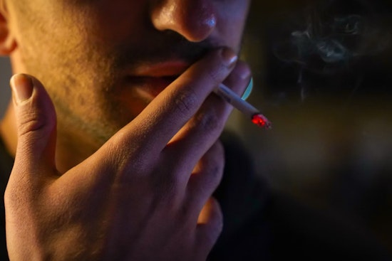 Sarasota State Senator Leads Initiative for Public Smoking Ban Amid Florida's Marijuana Legalization Debate