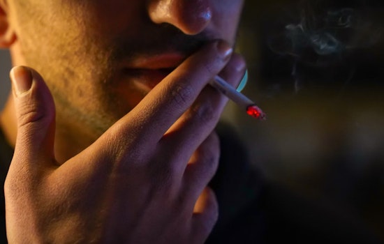 Sarasota State Senator Leads Initiative for Public Smoking Ban Amid Florida's Marijuana Legalization Debate