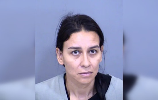 Scottsdale Ex-Treasurer Suspected of Embezzling $36K from Parents and Teachers Group