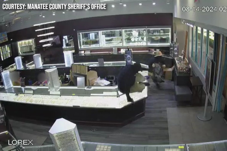 Search Underway for Suspects in Attempted Armed Robbery at Ellenton Outlet Mall