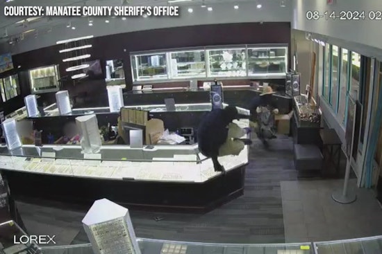 Search Underway for Suspects in Attempted Armed Robbery at Ellenton Outlet Mall