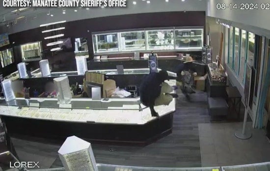 Search Underway for Suspects in Attempted Armed Robbery at Ellenton Outlet Mall