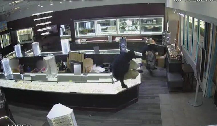 Search Underway for Suspects in Attempted Armed Robbery at Ellenton Outlet Mall