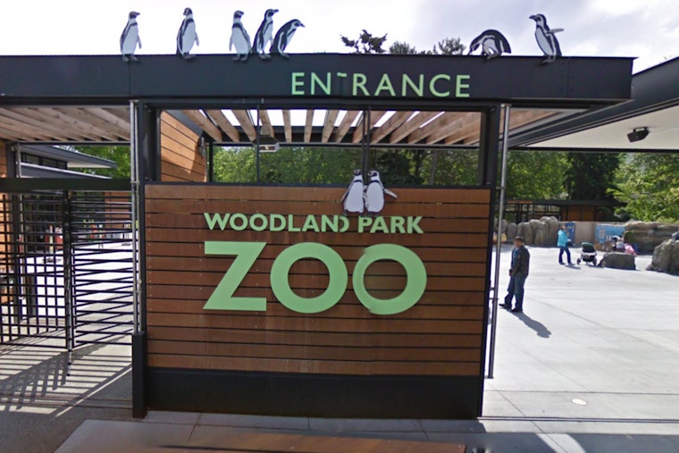 Seattle Bids Farewell to Ulan, the Last Malayan Tapir at Woodland Park Zoo, Ahead of Fresno Move