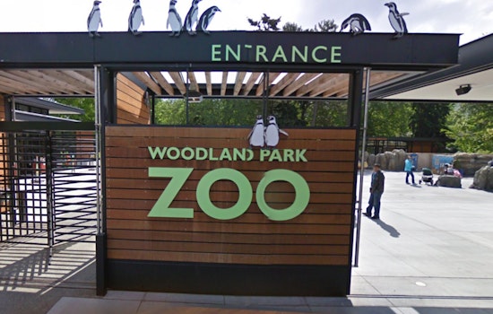 Seattle Bids Farewell to Ulan, the Last Malayan Tapir at Woodland Park Zoo, Ahead of Fresno Move
