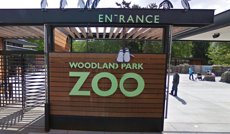 Seattle Bids Farewell to Ulan, the Last Malayan Tapir at Woodland Park Zoo, Ahead of Fresno Move