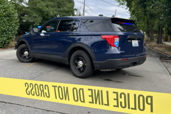 Seattle Detectives Investigate Link Between Carjacking and Homicide in Madison Valley
