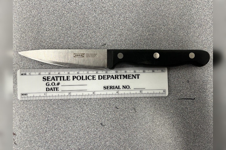 Seattle Man Arrested, Charged with Assault and Unlawful Imprisonment After Incident with Acquaintance