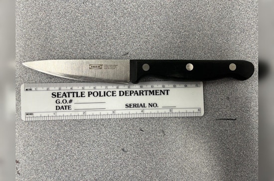Seattle Man Arrested, Charged with Assault and Unlawful Imprisonment After Incident with Acquaintance