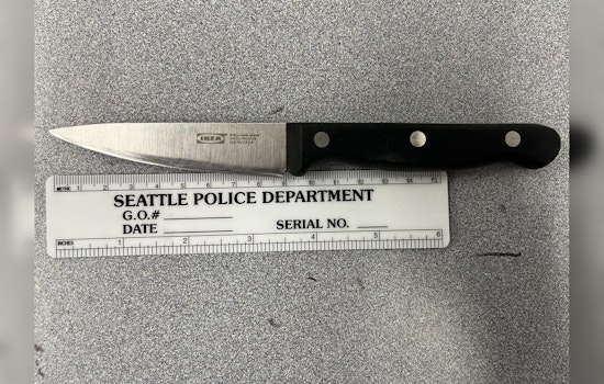 Seattle Man Arrested, Charged with Assault and Unlawful Imprisonment After Incident with Acquaintance