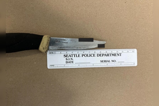 Seattle Police Apprehend Suspect Following Bitter Lake Stabbing Incident