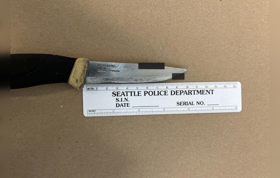 Seattle Police Apprehend Suspect Following Bitter Lake Stabbing Incident