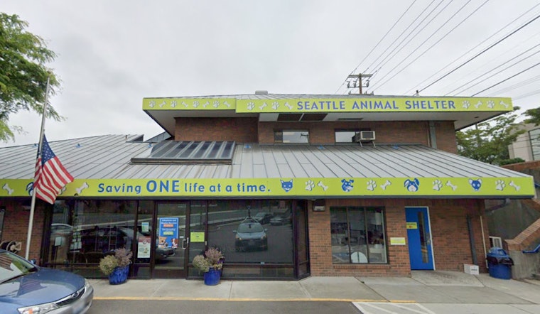 Seattle Residents Alerted to New Scam Targeting Lost Pet Owners