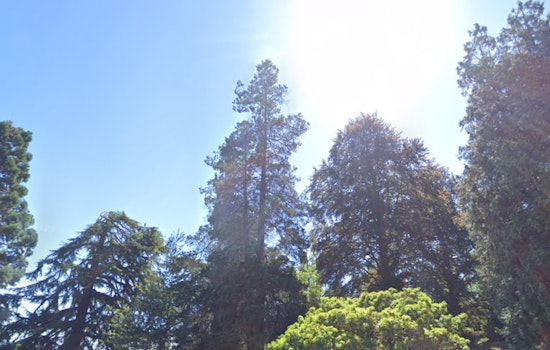 Seattle to Transition from Sunny Skies to Showers, Possible Thunderstorms in Weekly Forecast