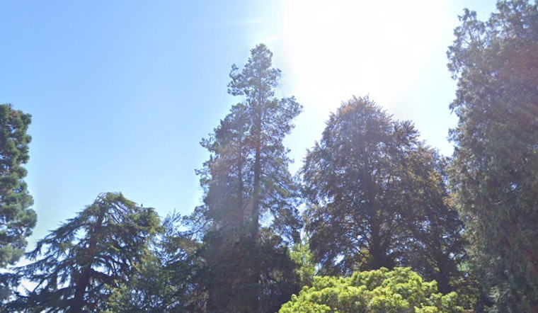 Seattle to Transition from Sunny Skies to Showers, Possible Thunderstorms in Weekly Forecast