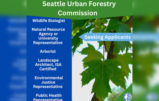 Seattle Urban Forestry Commission Seeks Passionate Individuals to Join Team Aiming for Greener City