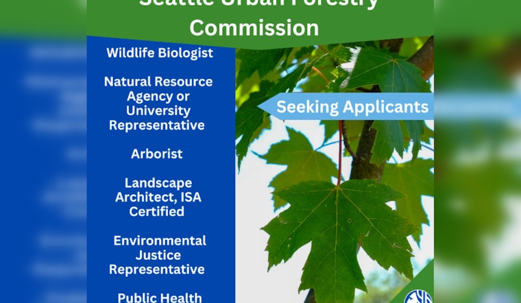 Seattle Urban Forestry Commission Seeks Passionate Individuals to Join Team Aiming for Greener City