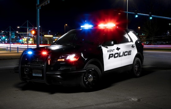 Seattle Youths Arrested After Kent Police Chase in Allegedly Stolen Hyundai Elantra