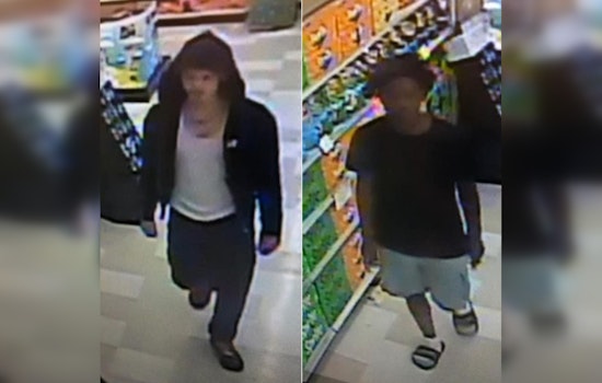 Second Teen Suspected of Armed Robbery Arrested After Incident at Clearwater Publix