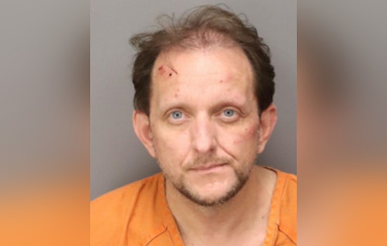 Seminole Man Charged with Child Pornography and Bestiality, Sheriff's Office Reports