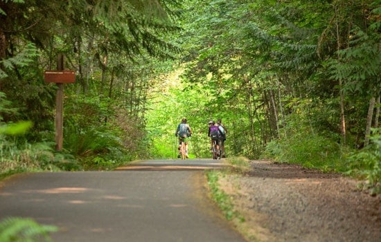 Share Your Views, Oregon Parks Seeks Public Input on E-bikes with Online Survey