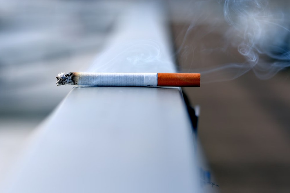 Smokin' Science: Boston Study Links Cigarette Smoke Component to Parkinson's Defense!