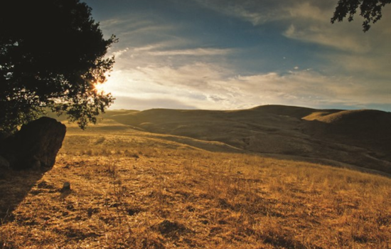 Sonoma County Invests $28.2 Million in Energy Efficiency to Tackle Climate Change