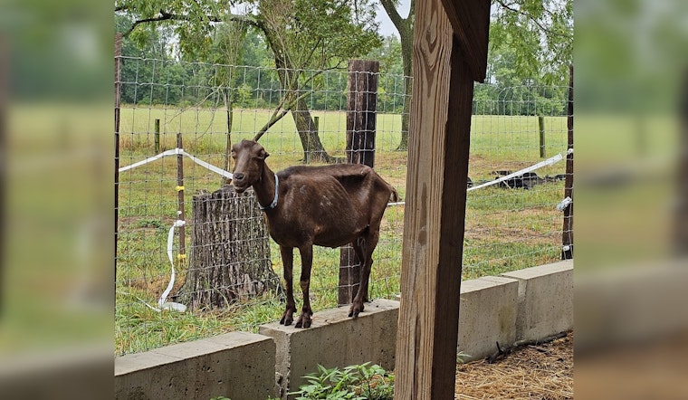 SPCA Rescues Over 100 Animals from Dire Conditions at Bucks County Farm