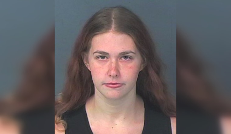 Spring Hill Teen Accused of Critically Injuring Infant in Suspected Abuse Case